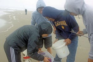 Fellow classmates at Ocean Beach collecting sand crab data.