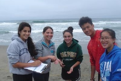 Students collecting data on sand crabs