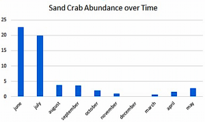 Sand crab bar graph